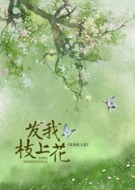 刀剑乱舞国服