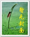 只愿为你而搁浅歌词
