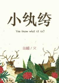 凤凰诏九