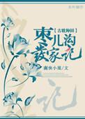 我穿回来了 星垂于野