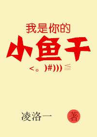 老婆大人-4全文免费阅读