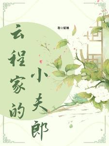 穿越之第一夫君简介