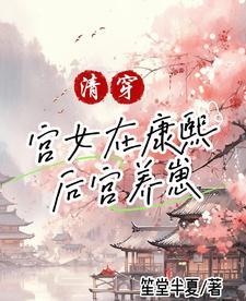 楚留香风投