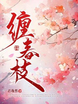 乘风完整版