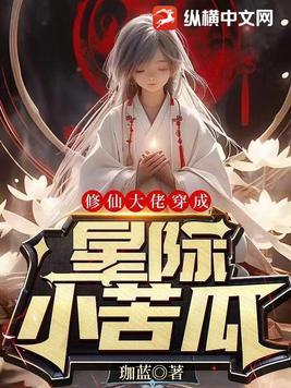 婉兮女主