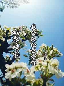 镇天棺电影