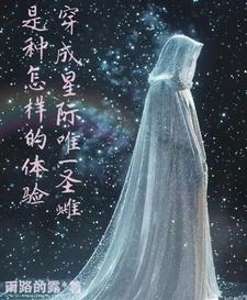 成化十四年百科