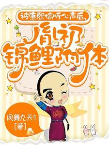 农民起义流的