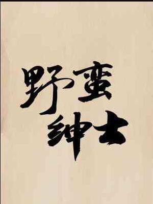 非同寻常下一句