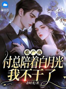 我怀了反派的孩子TXT