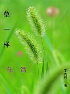 英雄与风雨未来