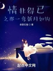 傻柱从军 第505章