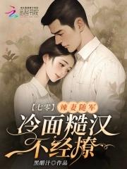 无上境是什么意思