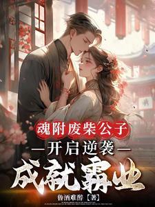 公子妾身邀你扛牌坊全文免费