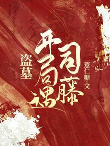 他的小皇后简介