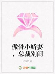 盲盒系统源码