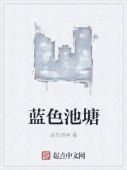 宝可梦帕琦拉