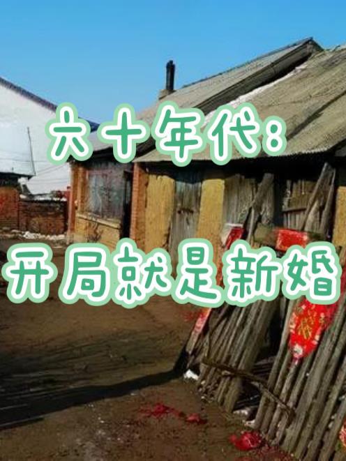芈月传电视剧免费