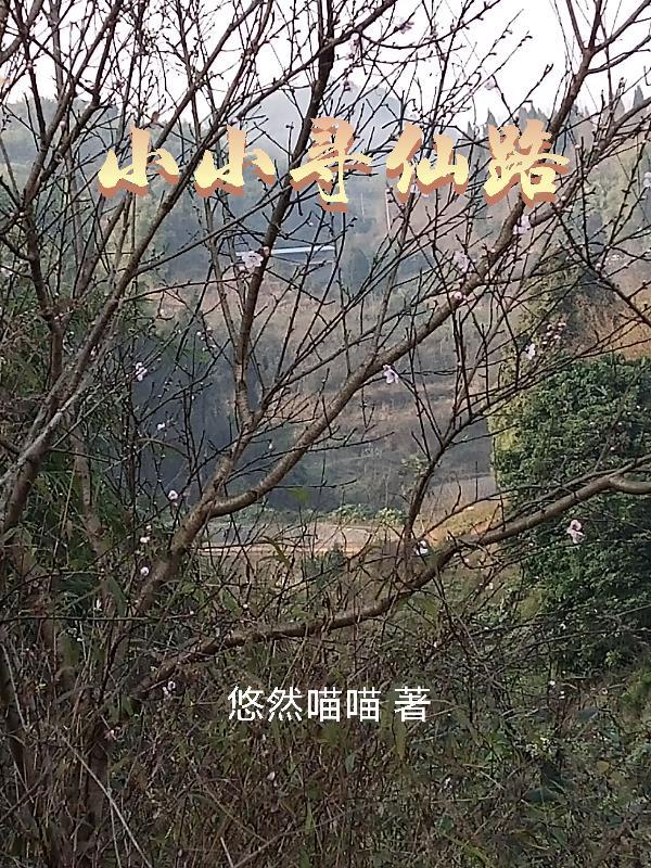 汉人可汗有几个