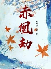 王的弃妃百科