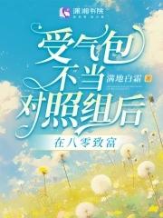 嫁入豪门的omega免费阅读