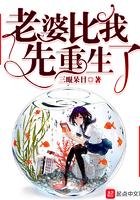 重生自赎by祎庭沫瞳讲了什么